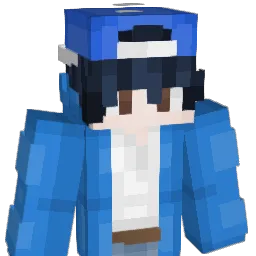 Netsi