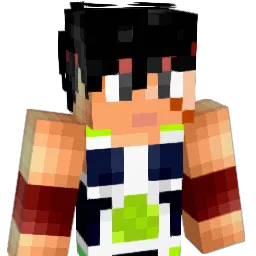 Nettstar1 Minecraft avatar bust