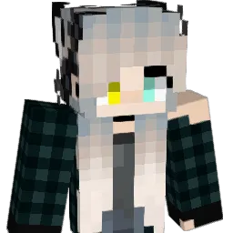 Never572 Minecraft avatar bust