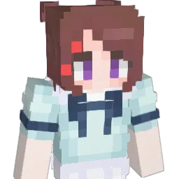 Nevercompromise_ Minecraft avatar bust