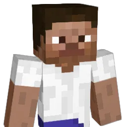 NewMexican Minecraft avatar bust
