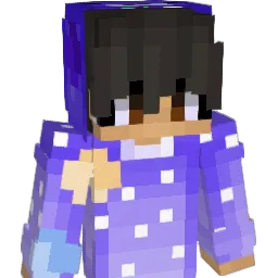 NewMoon27 Minecraft avatar bust