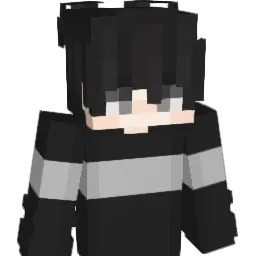 NewStriker_ Minecraft avatar bust