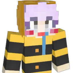 New_rainvow Minecraft avatar bust