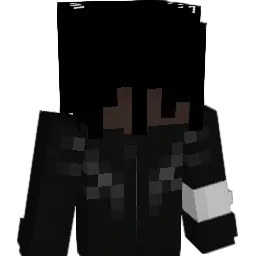 Newier_ Minecraft avatar bust