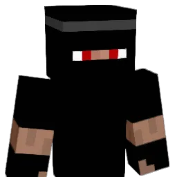 NexiuM_ Minecraft avatar bust