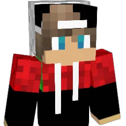 NexiuPRO Minecraft avatar bust