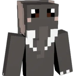 NgTakesOffSkin Minecraft avatar bust