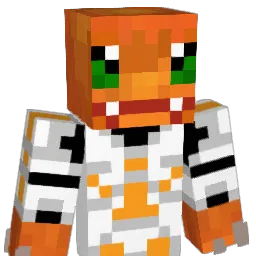 Ngs_JumPer Minecraft avatar bust