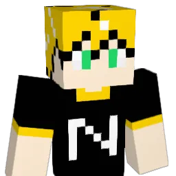 NiCooooooo2525 Minecraft avatar bust
