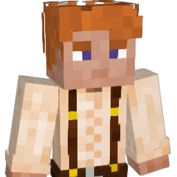 NiKlaYt Minecraft avatar bust