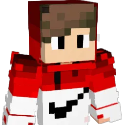 Niackk Minecraft avatar bust
