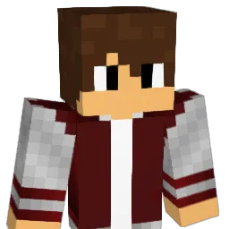Nicas_Gaming Minecraft avatar bust