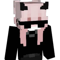 NiceBBMBTHx2