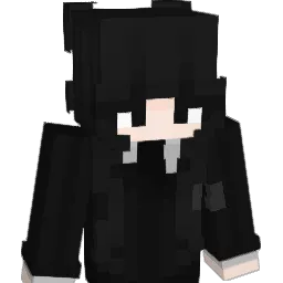 NiceHaxBro Minecraft avatar bust