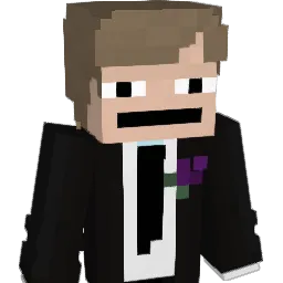 Nicedin Minecraft avatar bust