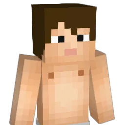Nicetomitja Minecraft avatar bust