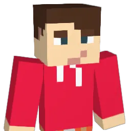 NichoK08 Minecraft avatar bust