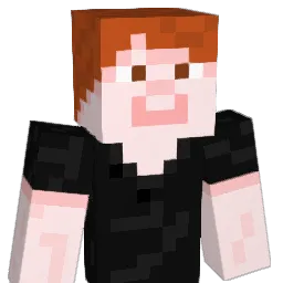 Nick_542 Minecraft avatar bust