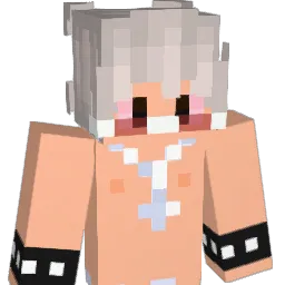 Nickddscarhard_ Minecraft avatar bust