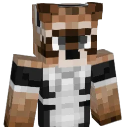 Nickelowdeon Minecraft avatar bust