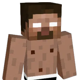 Nicko09 Minecraft avatar bust