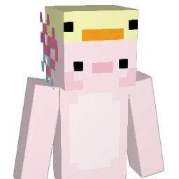 Nicktheninz's Minecraft skin