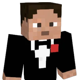 Niclas2707 Minecraft avatar bust