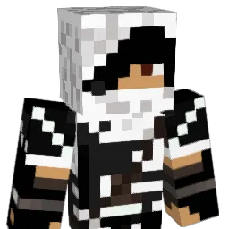 Niclasap Minecraft avatar bust