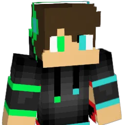 Nicoherrmi Minecraft avatar bust