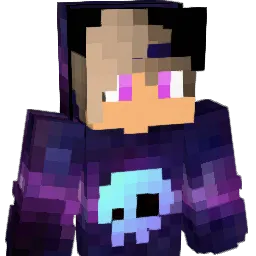 NicolasSFZ Minecraft avatar bust