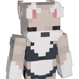 NicolasTown Minecraft avatar bust