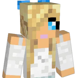 Nicolioli Minecraft avatar bust