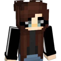 Nicoliz Minecraft avatar bust