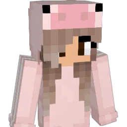 Nicolka9009 Minecraft avatar bust