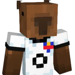Nicolushh_ Minecraft avatar bust