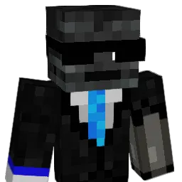Niduus Minecraft avatar bust