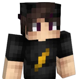 NielPlayer's Minecraft skin