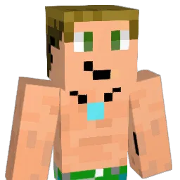 Niels006 Minecraft avatar bust