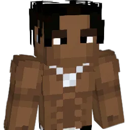 NielsVibes Minecraft avatar bust