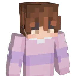 NiffSchniff Minecraft avatar bust