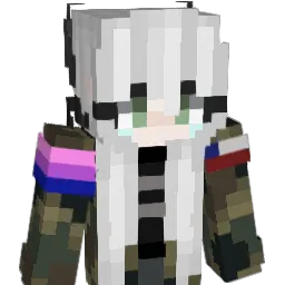 NighFuryUwU Minecraft avatar bust