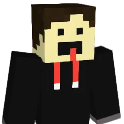 NightFlux13 Minecraft avatar bust