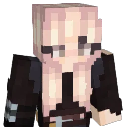 NightSkyy Minecraft avatar bust