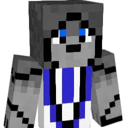 NightWolf8 Minecraft avatar bust