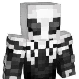 Night__OwO Minecraft avatar bust