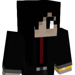 Nights_98 Minecraft avatar bust
