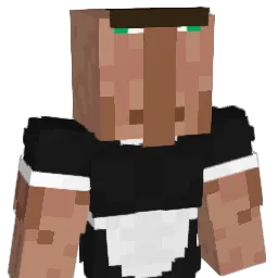 NikKup3000 Minecraft avatar bust