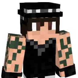 Nikedits00 Minecraft avatar bust