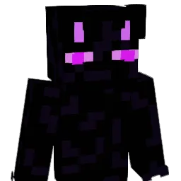 Niki385 Minecraft avatar bust